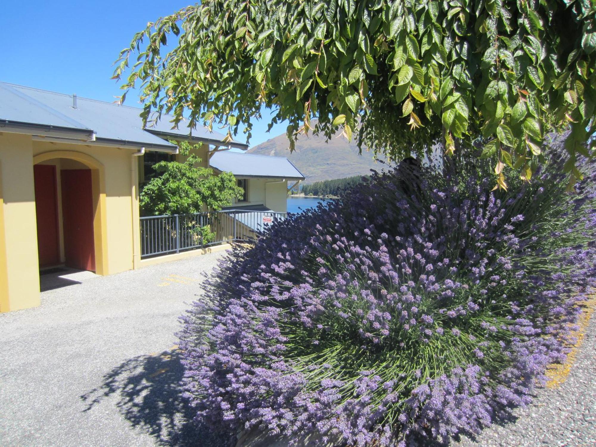 Villa Del Lago Queenstown Ngoại thất bức ảnh